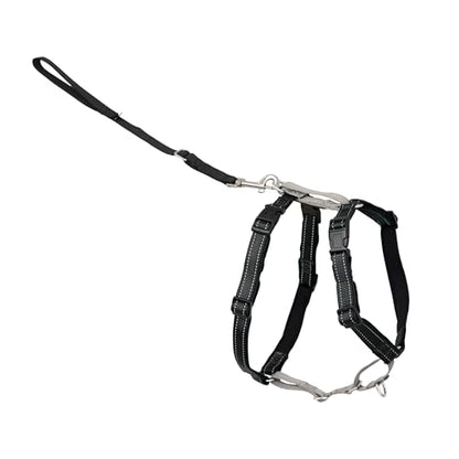 PetSafe 3 in 1 No-Pull Dog Harness - Walk, Train or Travel - Helps Prevent Pets from Pulling on Walks - Seatbelt Loop Doubles as Quick Access Handle - Reflective Accents - Small, Black - color: Black, size: Small (Pack of 1)