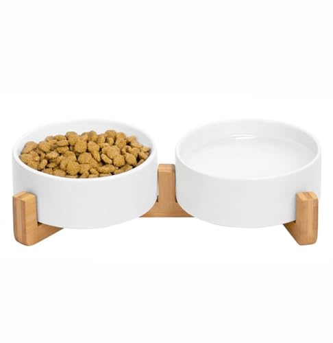 Ceramic Cat and Small Dog Bowl Set – Modern Indoor Small Size Pet Food and Water Bowls with Wood Stand – Non Slip Puppy Sized Feeding Station with Double Dishes (White) - color: White