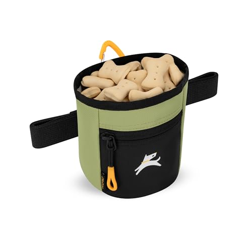 OllyDog, Goodie Treat Bag, Dog Treat Training Pouch | Magnetic Closure | 3 Ways to Wear | Hands-Free Waist Belt | Water-Resistant Recycled Vegan Fabric (Palm) - color: Palm