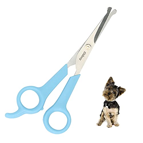 Chibuy Professional Pet Grooming Scissors with Round Tip Stainless Steel Dog Eye Cutter for Dogs and Cats, Professional Grooming Tool, Blue, Size 6.70" x 2.6" x 0.43" - color: 2. Blue