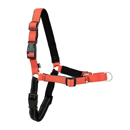 Petsafe Deluxe Easy Walk Harness, Large, Rose Pink, EWH-D-HC-L-RSE - color: Rose Red, size: Large (Pack of 1)