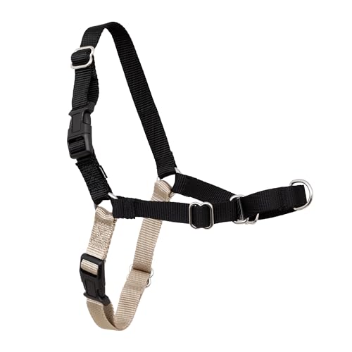 PetSafe Easy Walk No-Pull Dog Harness - Ultimate Harness to Help Stop Pulling - Pull-Free Walks - Take Control & Teach Better Leash Manners - Patented Martingale Loop Design - Black, Small/Medium - color: Black/Silver, size: Small/Medium
