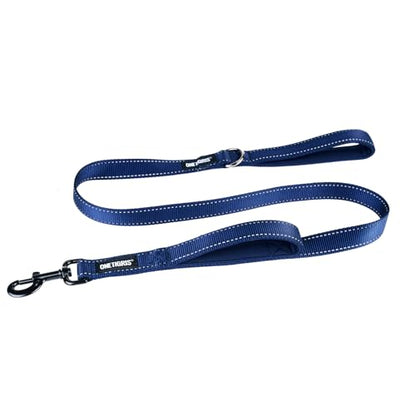 OneTigris Handled No-Pull Dog Walking Leash Long Traffic Leads for Medium to Large Dogs (Blue, 4FT) - color: Blue, size: 4FT