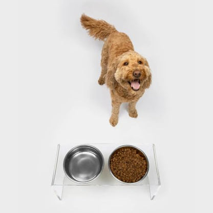 Hiddin Double Elevated Dog Bowl Stand for Medium or Large Dogs, All Breeds, Clear Acrylic 7 Inch Raised Dog Bowl Stand with Two Stainless Steel Bowls for Food and Water - 6.5 Cups Each Dish - size: 6.5 Cups