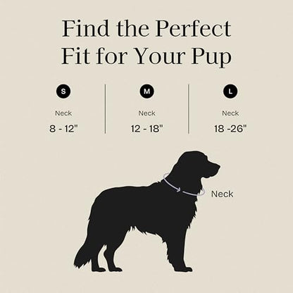 Fei & Eve VERO Dog Collar, Champagne, Small | MagEase Magnetic Buckle, Waterproof PVC, Odor Resistant, Easy Clean, Heavy Duty - color: Champagne, size: S