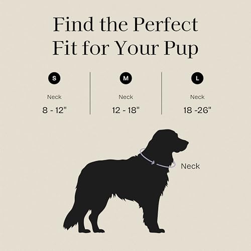 Fei & Eve VERO Dog Collar, Champagne, Medium | MagEase Magnetic Buckle, Waterproof PVC, Odor Resistant, Easy Clean, Heavy Duty - color: Champagne, size: M