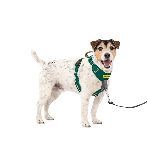 PetSafe Easy Walk Comfort No-Pull Dog Harness Full-Body Padding - Better Walks on the First Use - 5 Points of Adjustment Small, Green - color: Green, size: Small