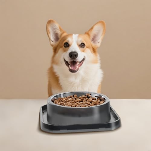 Stainless Steel Dog Bowls, Spill Proof Basic Dogs Bowls for Small Dogs Cats, 2 Cup Dog Food and Water Bowl, Non-Slip Puppy Feeder, Cat Bowl for Feeding Water - Starry Gray - size: Single