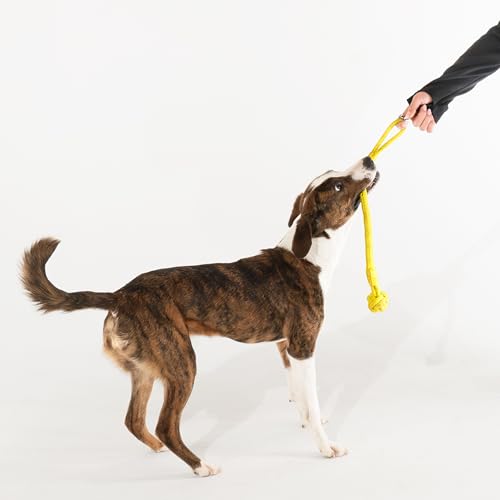 Playology Dog Toys | Tough Tug Knot for Puppies and Young Dogs | Chicken Scented Medium Chew Toy Tug Rope | Tug of War Puppy Essentials - size: Medium, style: Chicken