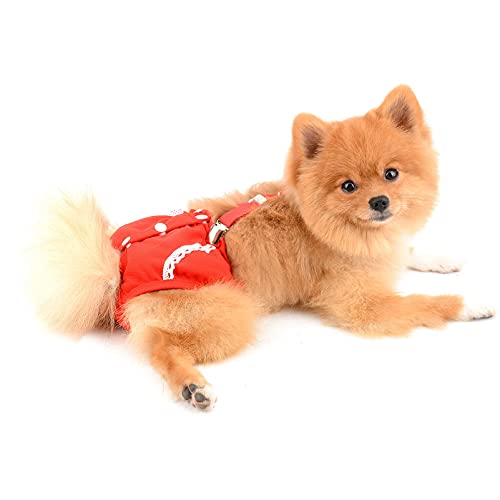 SMALLLEE_LUCKY_STORE Red Lace Girl Dog Diapers for Female with with Suspender Washable Reusable Cloth Sanitary Pants for Heat Cycle Incontinence Puppy Training - size: XL