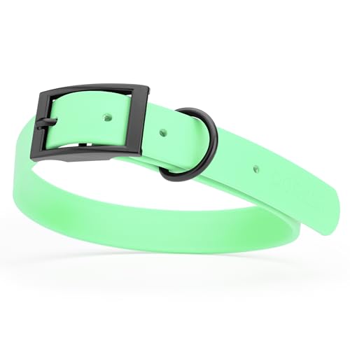 Dogline Biothane Waterproof Dog Collar Strong Coated Nylon Webbing with Black Hardware Odor- Proof for Easy Care Easy to Clean High Performance Fits Small Medium or Large Dogs, Sea Foam Green
