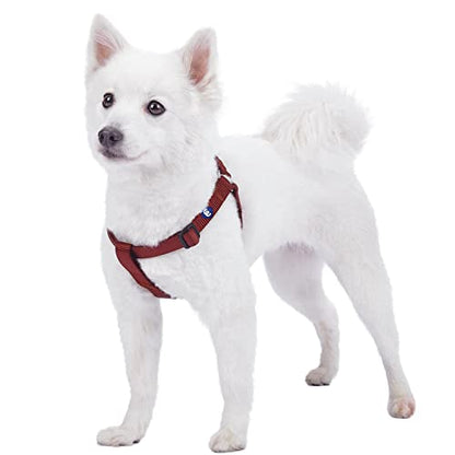 Blueberry Pet Essentials Step-in Dog Harness, Small Size | Adjustable Fired Brick Vest | Classic Solid Nylon for Boy & Girl Dogs, Chest Girth 16.5" - 21.5" - color: Fired Brick, size: Small