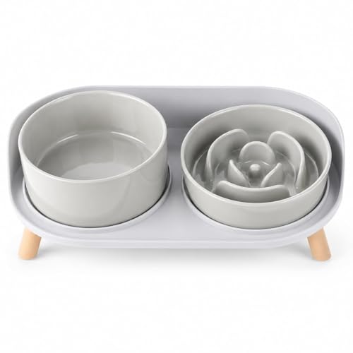 Elevated Slow Feeder Dog Bowls - Ceramic Food and Water Bowl Set with Stand - Raised Pet Dishes for Small and Medium Sized Dogs - color: Grey