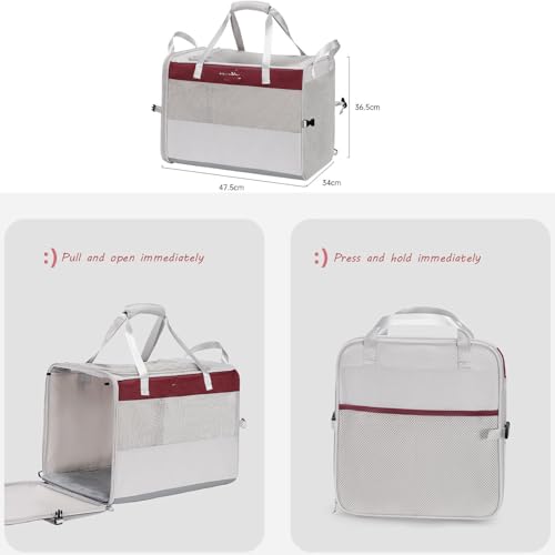 Collapsible Soft-Sided Pet Carrier Crate, Breathable Mesh Dog Kennel with Car Seatbelt Hook, Dual Carry Handles