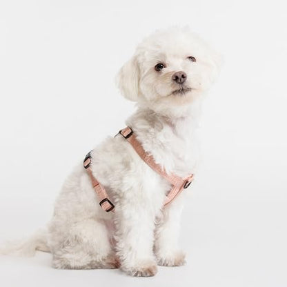 Fei & Eve Moxie Dog Harness for Small & Medium Dogs, Blush, XS | Lightweight Design, 3-Point No-Pull Control, Quick Release Metal Buckle - color: Blush, size: XS