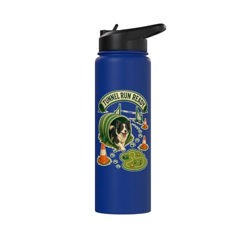 TUNNEL RUN READY Dog Agility Cones Stainless Steel Insulated Water Bottle - color: Royal Blue