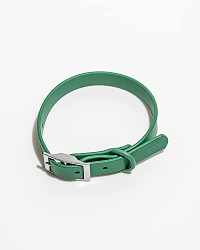 Wild One Dog Collar, Easy-Clean, All Weather Flex-Poly Strap with Metal, Durable, Dirt and Odor Resistant (Spruce, M) - color: Spruce, size: M