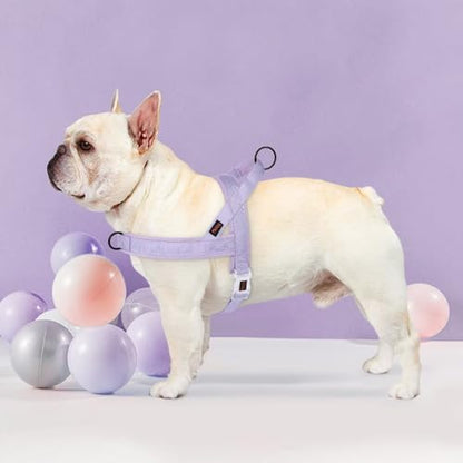 Didog No Pull Dog Harness with Breathable Mesh Padded, Quick Fit & Easy on Dog Vest Harness for Small Medium Large Dogs Training Walking(Purple,L) - color: Purple, size: L:Chest 27-35", Fit 50-80 lbs