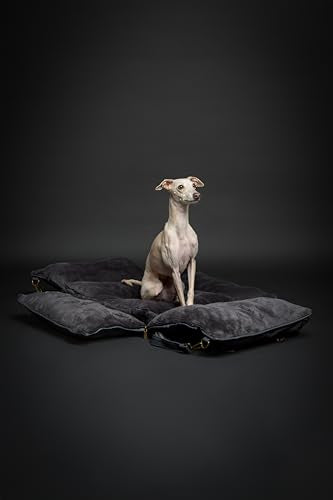NOAH & PAW Small Dog Car Seat for Small Medium Pets with Harness Clip, 4X Safety Feature, Washable Dog Seat for Car, Orthopedic Foam Wrapped with Plush, Vegan Leather - color: Charcoal