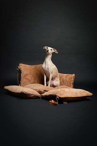 NOAH & PAW Small Dog Car Seat for Small Medium Pets with Harness Clip, 4X Safety Feature, Washable Dog Seat for Car, Orthopedic Foam Wrapped with Plush, Vegan Leather - color: Camel