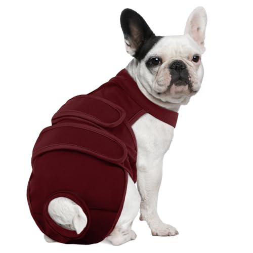 Dog Diapers Female Reusable Washable Period Diaper with Suspender,Adjustable Dog Panties Anti-Harassment, Doggie Diapers for Incontinence, Heat Cycles, or Senior Dogs（XS-XL - color: Wine Red, size: M