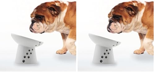 Necoichi Raised Dog Food Bowl, Elevated, for Dogs and Cats, Pets Feeding Feeder Non-Slip for Small Dogs Dishwasher and Microwave Safe, No.1 Seller in Japan! (Dog, Extra Wide Tilted) (Pack of 2) - size: Extra Wide (Pack of 2)