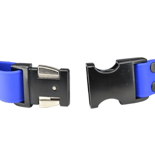 Ray Allen Adjustable Biothane Dog Collar, Large, Blue - color: Blue, size: 18" - 28"