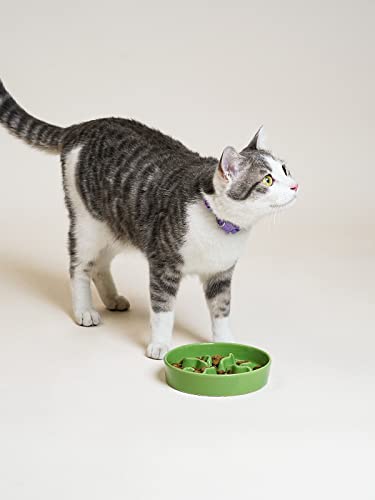 Ceramic Slow Feeder Dog Bowls Small Breed, 0.5 Cups Dog Food Dish for Fast Eaters, Puzzle Bowl for Small Dogs and Cats, 5.5 Inch-Green - color: Green