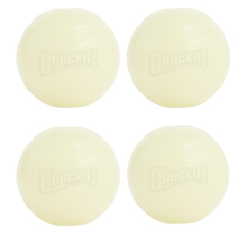 Chuckit! Glow in the Dark Bouncy Balls - Ball for Dogs, Chuckit Dog Toy, Max Glow Balls - Medium, 2.5 Inch, Pack of 4 - size: Medium