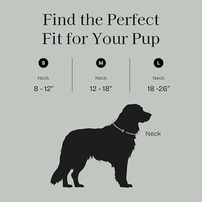 Fei & Eve VERO Dog Collar, Glacier Green, Large | MagEase Magnetic Buckle, Waterproof PVC, Odor Resistant, Easy Clean, Heavy Duty - color: Glacier Green, size: L