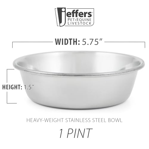 Jeffers Pet Heavy Weight Stainless Steel Pet Bowls for Dogs & Cats,16 oz – Durable Food & Water Dish, Non Slip, Rust Resistant, Dishwasher Safe Feeding Bowl for Home, Travel, Indoor & Outdoor