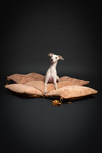 NOAH & PAW Small Dog Car Seat for Small Medium Pets with Harness Clip, 4X Safety Feature, Washable Dog Seat for Car, Orthopedic Foam Wrapped with Plush, Vegan Leather - color: Camel