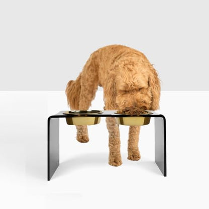 Hiddin Double Elevated Dog Bowl Stand for Medium or Large Dogs, All Breeds, Smoke Grey Acrylic 12 Inch Raised Dog Bowl Stand with Two Gold Bowls for Food and Water - 6.5 Cups Each Dish