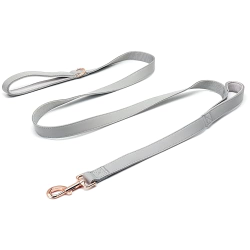 Dog Leash 6ft Long,Traffic Padded Two Handle,Heavy Duty,Double Handles Lead for Control Safety Training,Leashes for Large Dogs or Medium Dogs,Dual Handles Leads (Grey, 25MM*6FT) - color: Grey