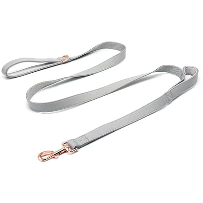 Dog Leash 6ft Long,Traffic Padded Two Handle,Heavy Duty,Double Handles Lead for Control Safety Training,Leashes for Large Dogs or Medium Dogs,Dual Handles Leads (Grey, 25MM*6FT) - color: Grey