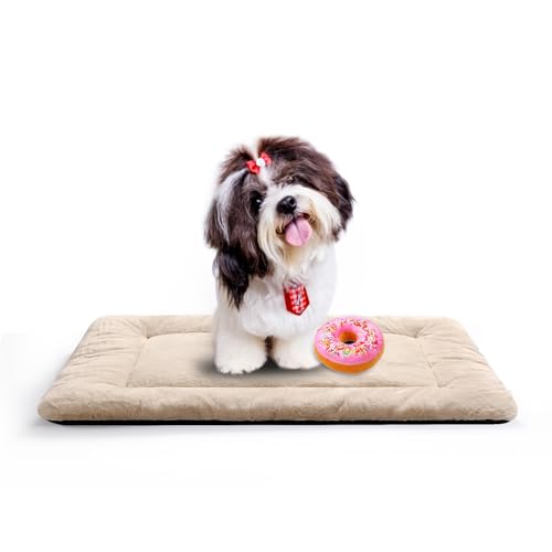 Dog Beds Crate Pad for Small Dogs Ultra Soft Dog Crate Bed Washable & Anti-Slip Kennel Pad for Dogs Cozy Sleeping Mat,Cream 24inch - color: cream, size: 24.0"L x 18.0"W x 1.0"Th
