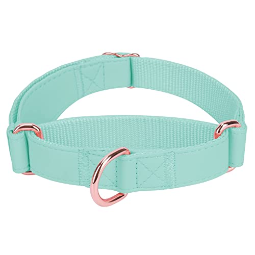 Soft Leather Martingale Dog Collar - Adjustable Rose Gold Limited Slip Collars [Easy to Clean], Stylish Durable Heavy Duty Nylon No Pull Training Collar for Small Medium Large Dogs S Mint Green - color: Mint Green, size: S (Neck 10"-15", Width 4/5")