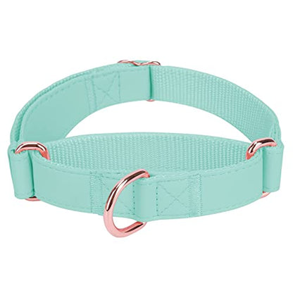 Soft Leather Martingale Dog Collar - Adjustable Rose Gold Limited Slip Collars [Easy to Clean], Stylish Durable Heavy Duty Nylon No Pull Training Collar for Small Medium Large Dogs S Mint Green - color: Mint Green, size: S (Neck 10"-15", Width 4/5")