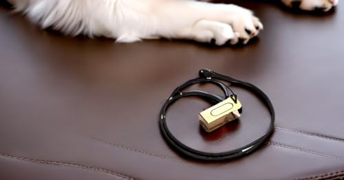 Mythrojan Brass and Steel Pet Training Clicker Puppy Dog Training Cricket Clicker U.S. Engraved WII Military Gear Metal Clicker - style: Clicker (Pack of 1 Pc)