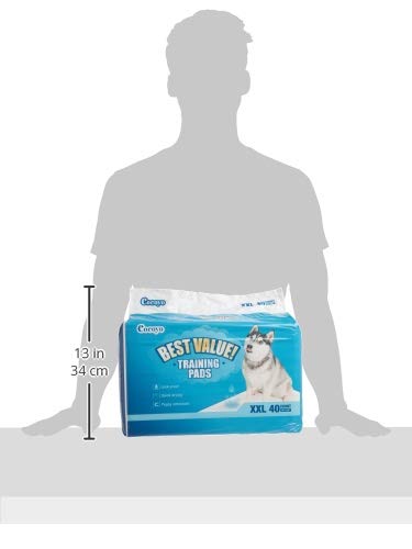COCOYO Training Pads, 30"X36", 40 Count, XXL - size: XX-Large