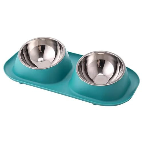Anti Vomiting Double Feeding Bowls for Cats and Dogs Elevated Raise Tilted Cat Food Bowls No Spill Anti Skid Design Mint - color: Mint