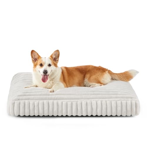 Dog Bed Medium Size Dog, Flat Pet Beds with Removable Washable Cover, Pet Mat Cute Crate Bed Thick Shredded Chopped Crate Foam & Anti Slip Bottom for Indoor