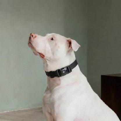 Fei & Eve VERO Dog Collar, Black, Medium | MagEase Magnetic Buckle, Waterproof PVC, Odor Resistant, Easy Clean, Heavy Duty - color: Black, size: M