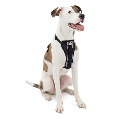 Kurgo Dog Harness | Pet Walking Harness | Medium | Black | No Pull Harness Front Clip Feature for Training Included | Car Seat Belt | Tru-Fit Quick Release Style - color: Black, size: Medium