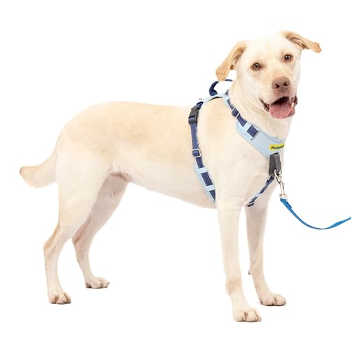 PetSafe Easy Walk Comfort No-Pull Dog Harness Full-Body Padding - Better Walks on the First Use - 5 Points of Adjustment Large, Blue - color: Blue, size: Large