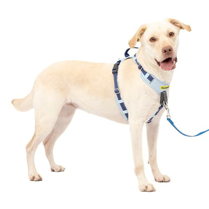 PetSafe Easy Walk Comfort No-Pull Dog Harness Full-Body Padding - Better Walks on the First Use - 5 Points of Adjustment Large, Blue - color: Blue, size: Large