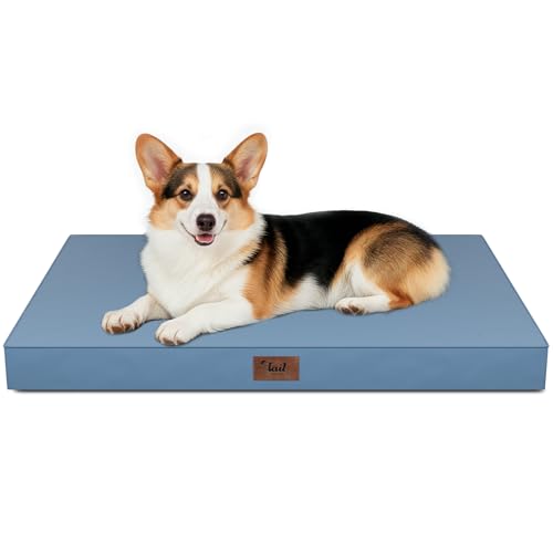 Outdoor Waterproof Orthopedic Dog Bed for Large Dogs | Egg Crate Foam for Joint Support, TPU Waterproof Layer, Machine Washable 1680D Oxford Cover, 36 x 27 Inch, Up to 65 lbs - color: Blue, size: 36.0"L x 27.0"W x 3.0"Th