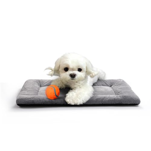 Dog Beds Crate pad for Extral Small Fit Metal, Utral Soft,Washable&Antislip Kennel Pad for Dogs Cozy Sleeping Mat,Gray 22inch - color: gray, size: 22.0"L x 13.0"W x 1.0"Th