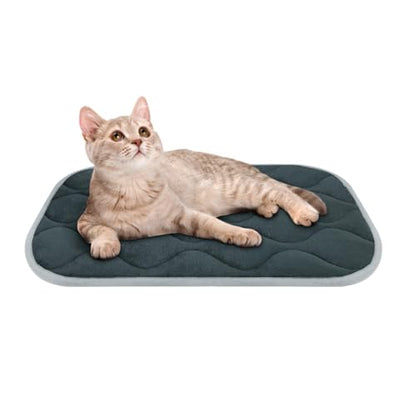 furrybaby Dog Bed Mat Flat Crate Mat with Anti-Slip Bottom Machine Washable Pet Kennel Pad for Dog Sleeping (XS 22x13'', Grey Mat) - size: 22.0"L x 13.0"W x 0.7"Th