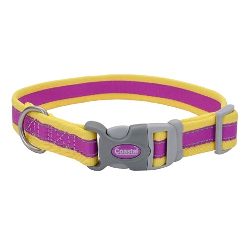 Coastal Pet - Pro - Reflective Adjustable Dog Collar, Purple with Yellow, 1" x 14-20" - color: Purple with Yellow, size: 1" x 14-20" (Pack of 1)